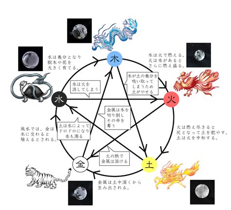 陰陽五行 動物|陰陽五行とは？その影響や太極図も解説